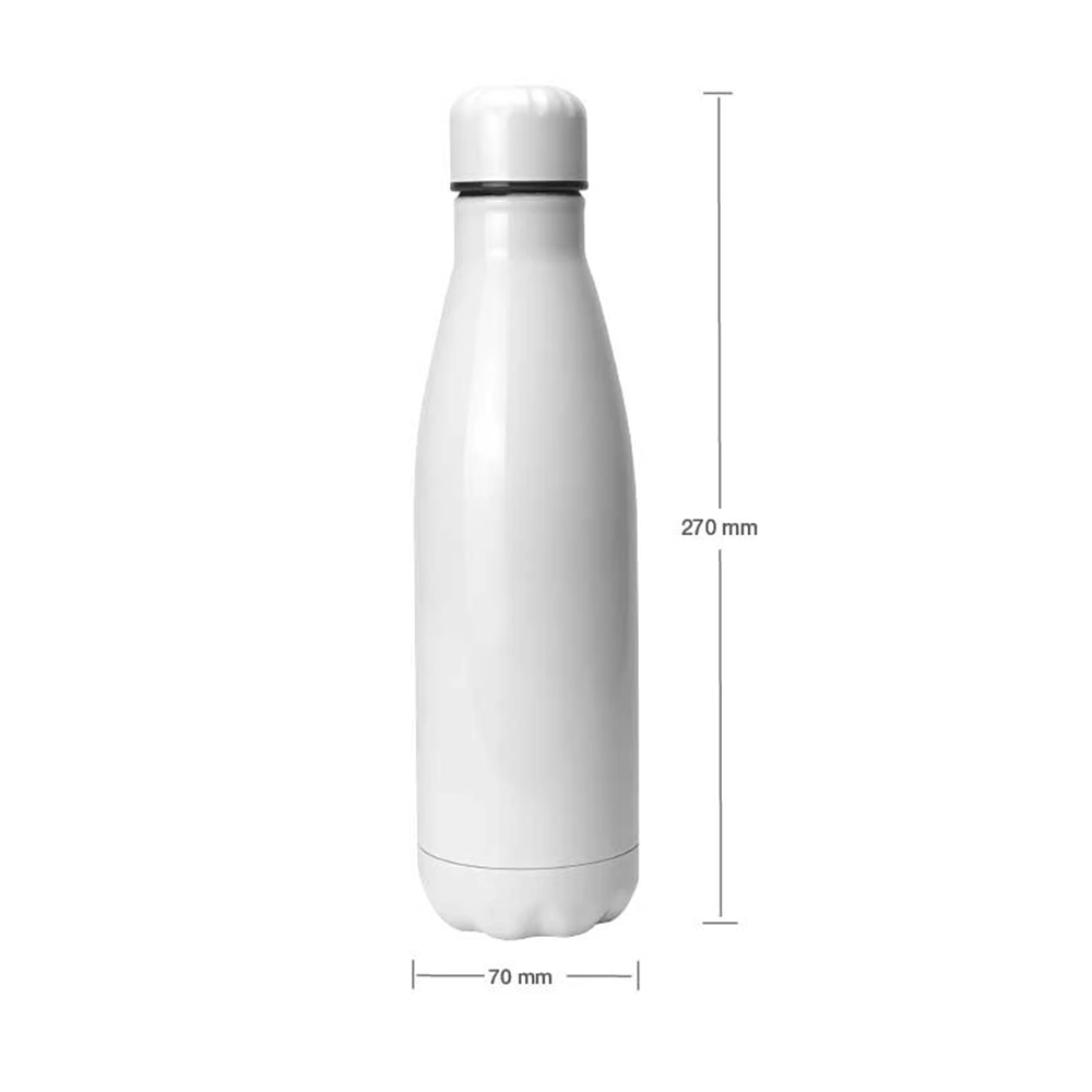 Stainless Steel Water Bottles