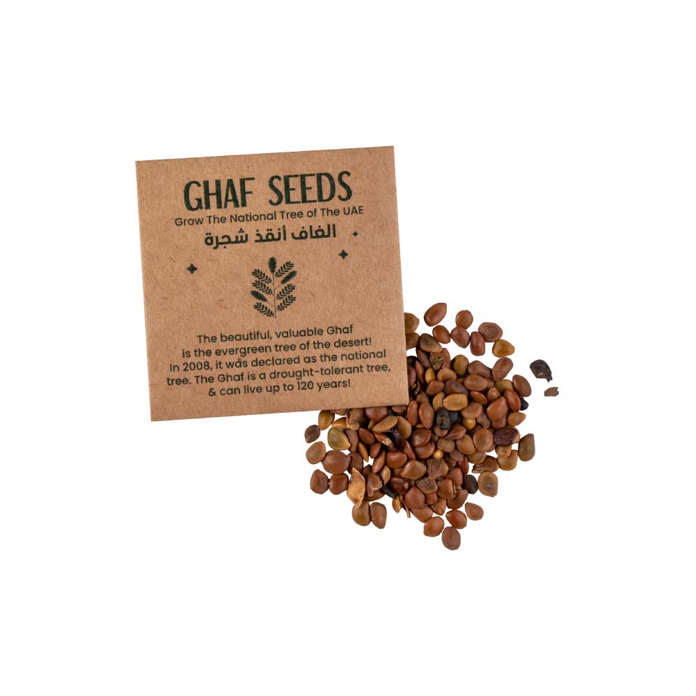 Plantable Kit with GHAF Seeds in Kraft Box - alternate view