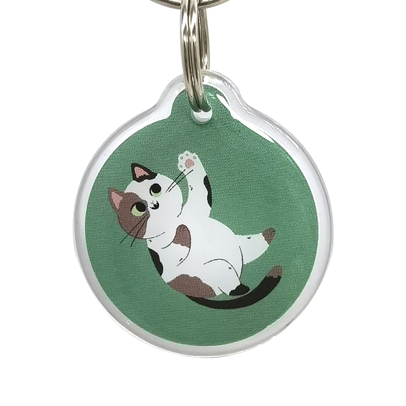 NFC Pet Dog Cat Epoxy Tag - alternate view